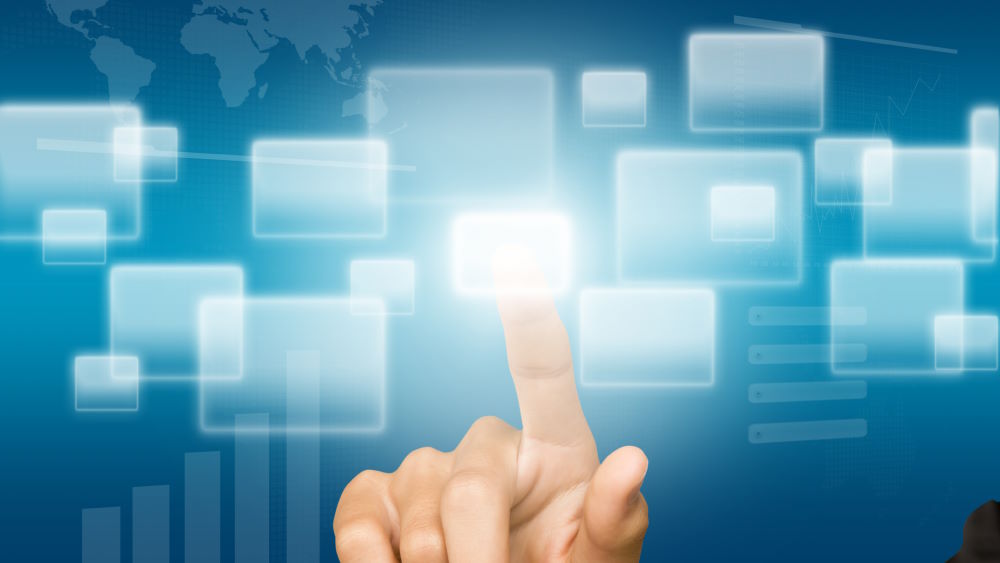 Choosing the Right Snake: Factors to Consider