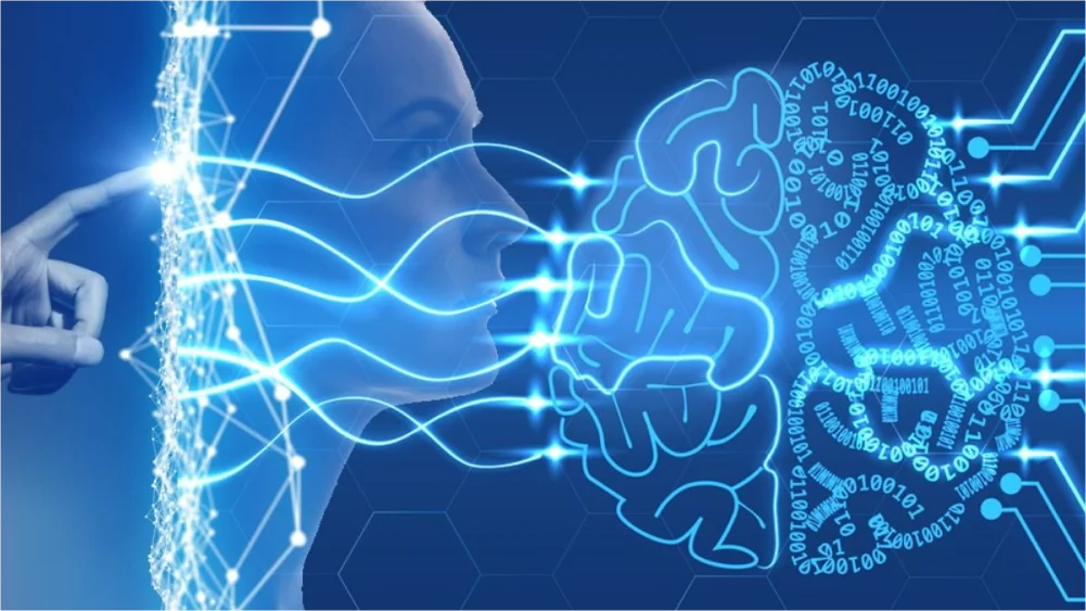 What Is Meta Learning?