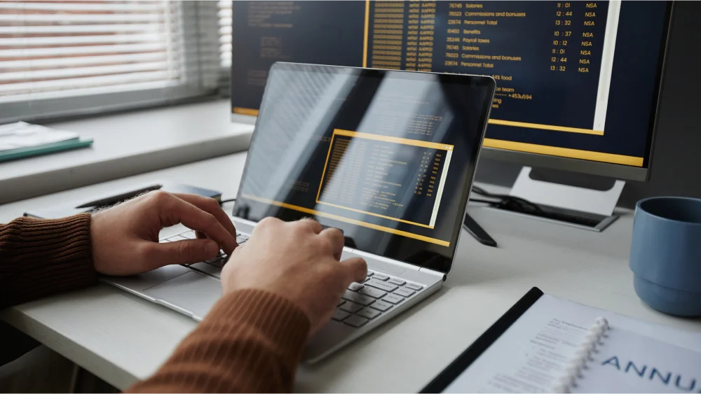 What Is Offshore Software Testing?