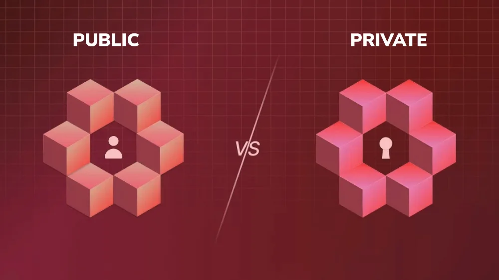 What Are the Differences Between Public and Private Blockchains?