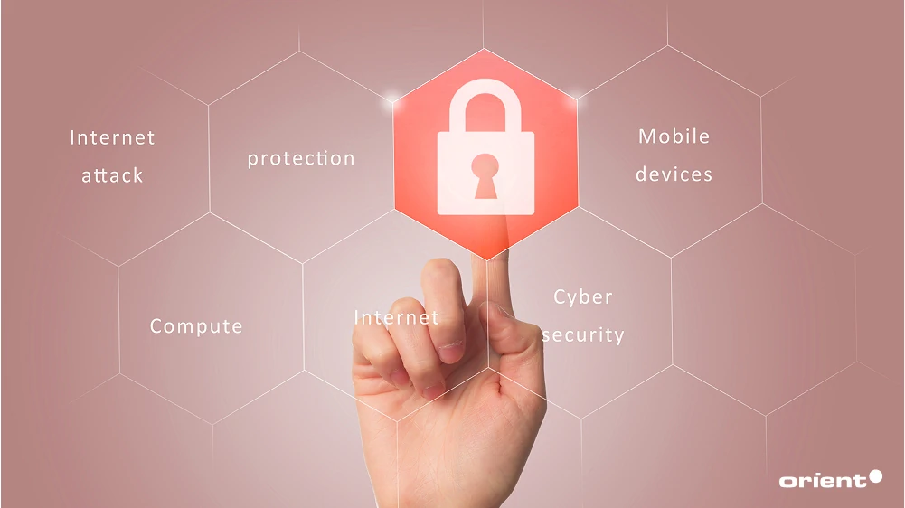 Privacy and Security Concerns