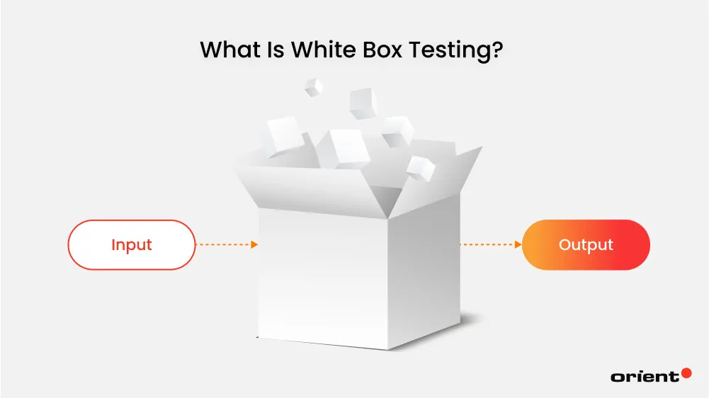 What Is Blackbox Testing?