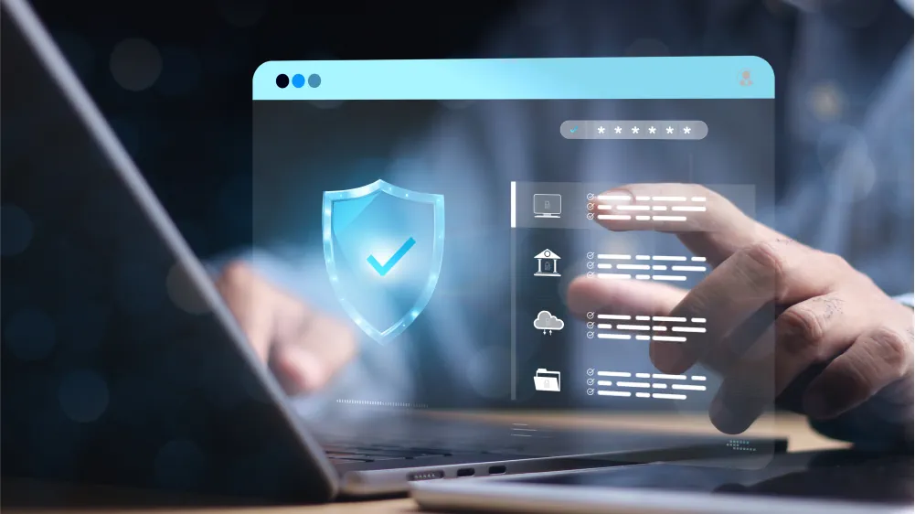 What Is Web Development Security?