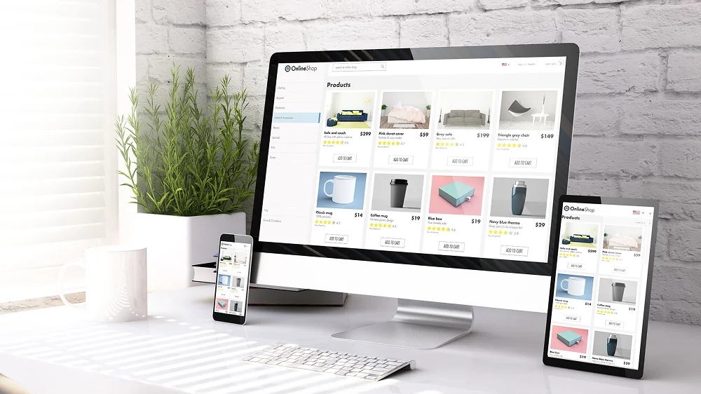 Web App Development